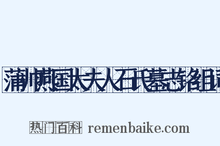 蒲帅燕国太夫人石氏墓志铭组词是什么意思的图片
